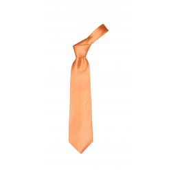cravată