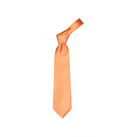 Colours - cravată